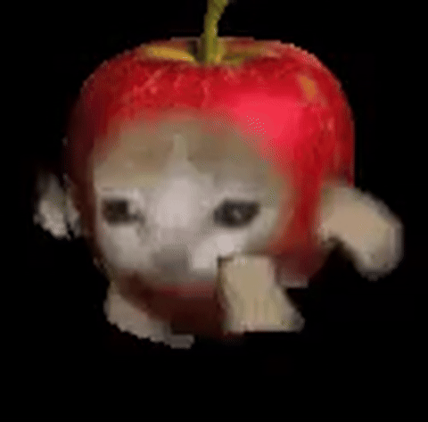 Apple Cat running animation
