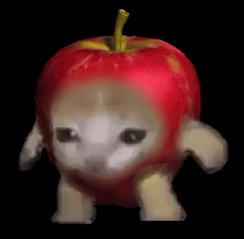 Apple Cat spinning animation
